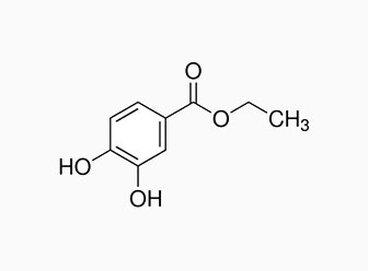 3,4-ジヒドロキシ安息香酸エチル