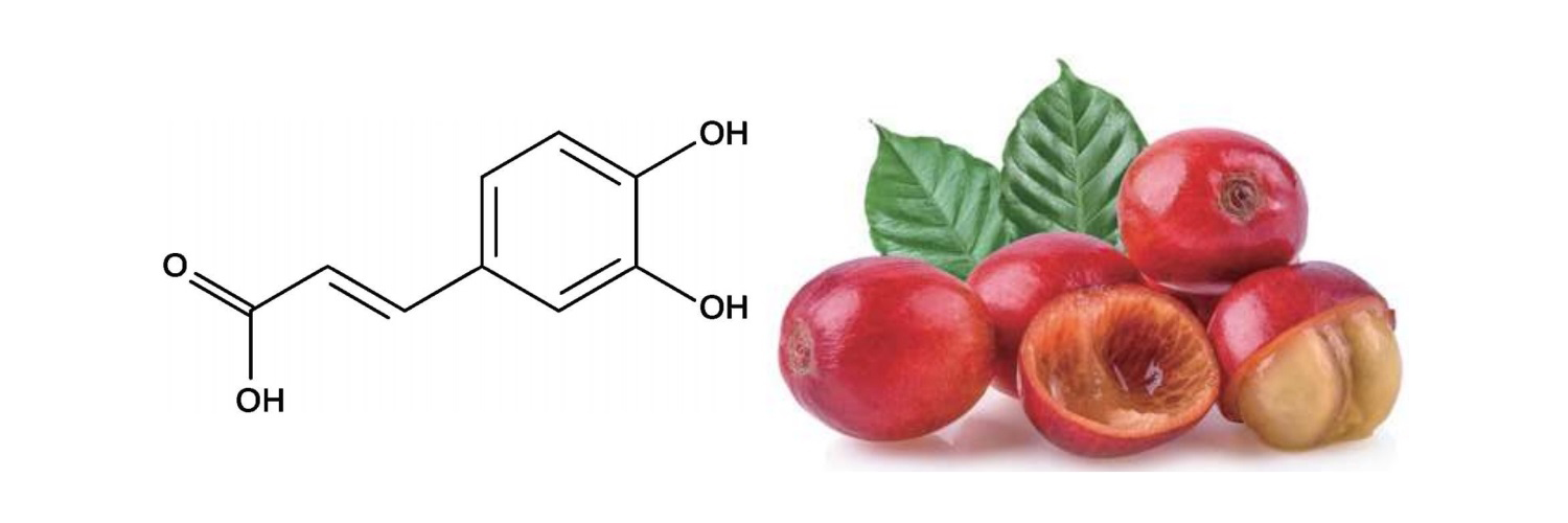 CAFFEIC ACID