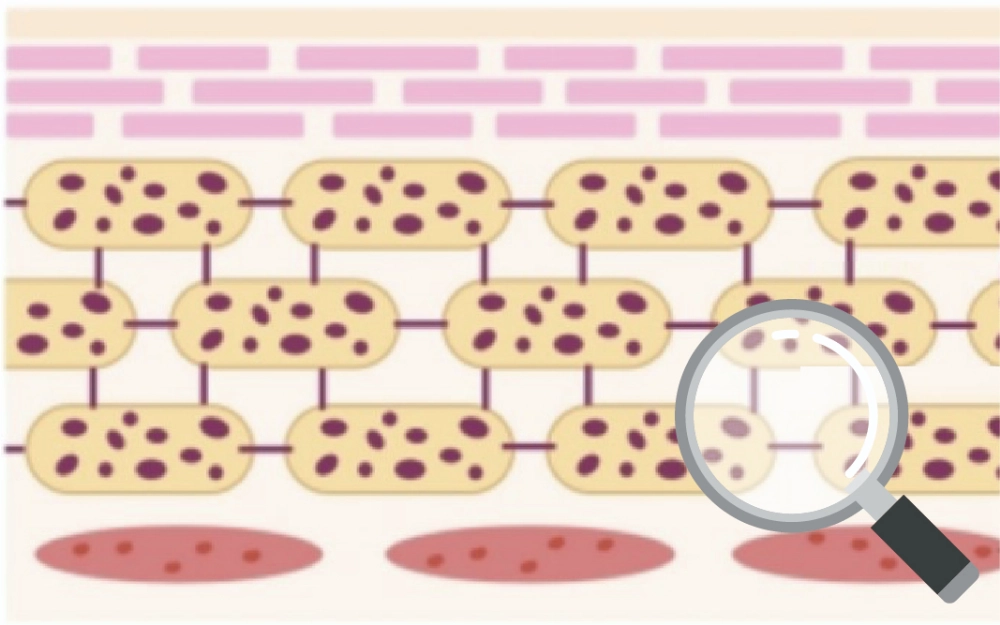 二重革命:修復から回復力へ The Dual Revolution: From Repair to Resilience