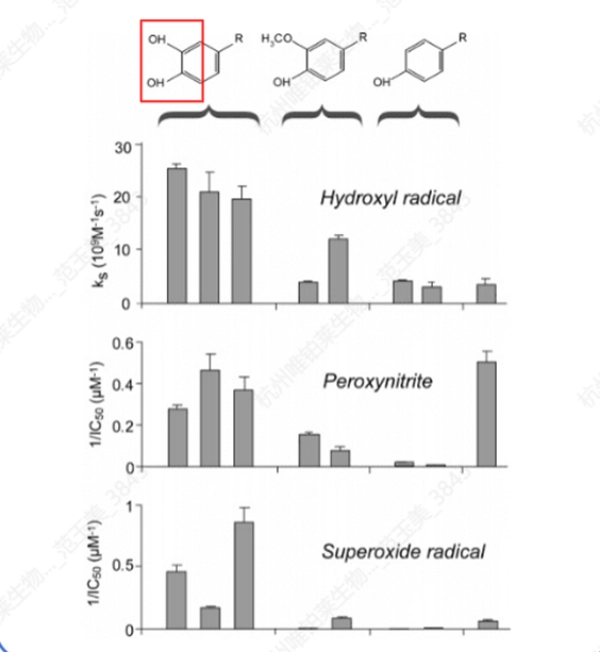 二重内部抗酸化メカニズム Dual Internal Antioxidant Mechanism